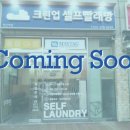 퇴계세탁 이미지