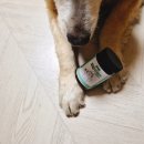 알파케어 | 🐶 노령견 케어의 시작! 알파테일즈 쿠싱영양제 솔직 후기 ✨