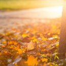 센트럴 행정사사무소 이미지