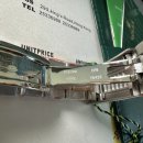 에버로즈 이미지