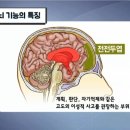 브레인학습발달클리닉