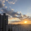 콩불충장점 | ep.63 유럽에서 올리는 11월 일상