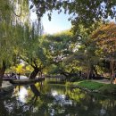 광한루원 | 남원 갈만한곳 가을과 어울리는 광한루원 다녀온 후기