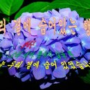 행복영상