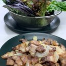 너구리 소굴 이미지