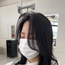 아우룸헤어울산점