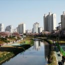 온천천 이미지