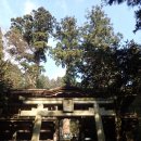 미나모토노 요시쓰네(源義経)가 수행한 구라마데라 (鞍馬寺)
