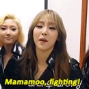 LETS DO THIS MOOS!!! 이미지