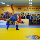 삼보 이미지