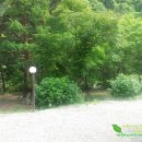 해미레2 이미지