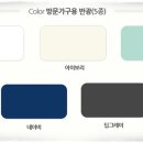 순, 컬러룸