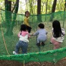 신진병설유치원 이미지