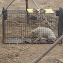 달성축산동물병원 이미지