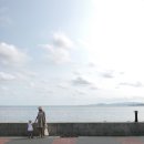 해밀투어 이미지