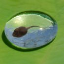 올챙이캠핑장 이미지