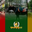 달구지농원 이미지