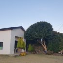 하랑하람 이미지