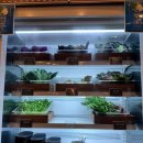 만석장 | 잠실 만석장 후기ㅣ쌈채소 무한리필 가능한 한식 맛집