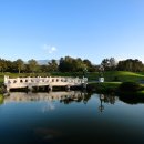 델피노숲 이미지