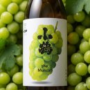 학-비상 | 양조장(小正醸造)의 코즈루 더 머스캣(小鶴, Kozuru The Muscat) 고구마 소주(사츠마이모 쇼츄) 시음 후기