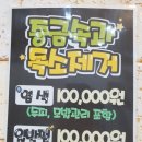 소유경