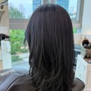 [리뷰♥️] 노이브헤어_ 송도미용실 | 톤다운 염색 | 다민 디자이너 만족 후기