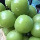초록마을 귀인점