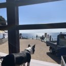 제주 서귀포 중문색달해수욕장 서핑 서퍼스 립컬 제주점 서핑 강습 후기