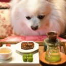 슬기약국 이미지