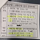 호주 간호 예방접종 ㅣ B형 간염 항체검사