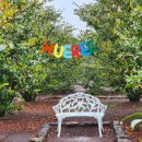 메종 글래드 제주  실외수영장 이미지