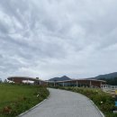 한태목장 | [가평] 양떼목장 + 먹이주기체험 + 베이커리카페 후기