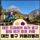 곤룡로 | 대전 드라이브, 힐링 하기 좋은 &#39;카페라밸리&#39;