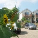 풀빛다락 이미지