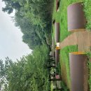 26-7/22-수 병천순대국-아침밥 서서울호수공원-산책 스마일김밥-점심 두리랑-믹서커피 로또구입 이미지