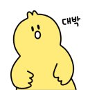 아재네텔레콤 이미지