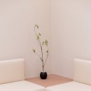 따스한한의원 이미지