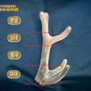 달창부성회식당 이미지