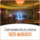 솔뫼성지 소나무 | 고요한 숲길에서 만나는 신앙과 쉼, 당진 솔뫼성지