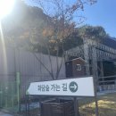 단풍보러 서울 근교 화담숲 예약 꿀팁, 근처 찐맛집 후기