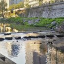 동경돈까스 | 신설동 돈까스 동경 생선까스 &amp; 우동 세트 타르타르소스 후기(메뉴판)