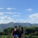 구례진달래집 이미지