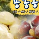 용봉농장 이미지