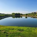 블루호라이즌호텔 이미지