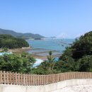 돌산AG 이미지