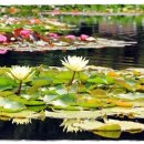 덴티스킨치과의원 이미지