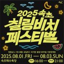 속초썸머비치페스티벌 티스토리