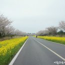 한림프라자 이미지