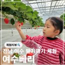 수정농장 | 전남 여수 아이랑 놀거리 딸기체험 여수베리 딸기체험농장